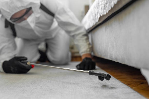 Professional Cockroach Control technician working in Mille Lacs County County, MN